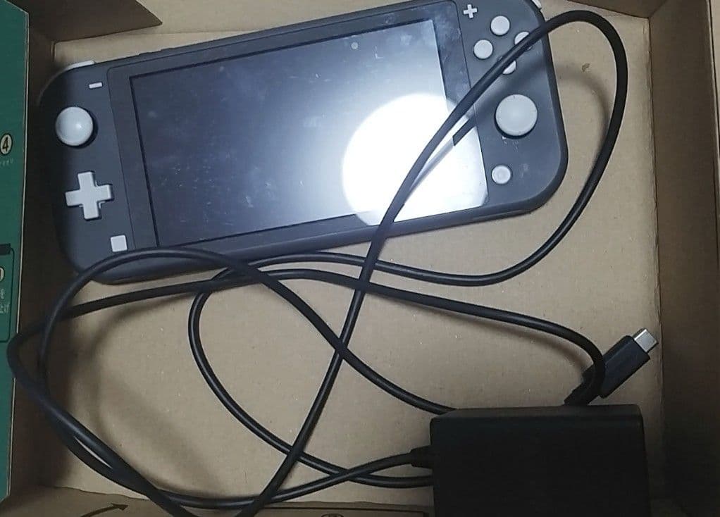 9月5日までの受付。スイッチライト　マイクラカセット　充電器付き