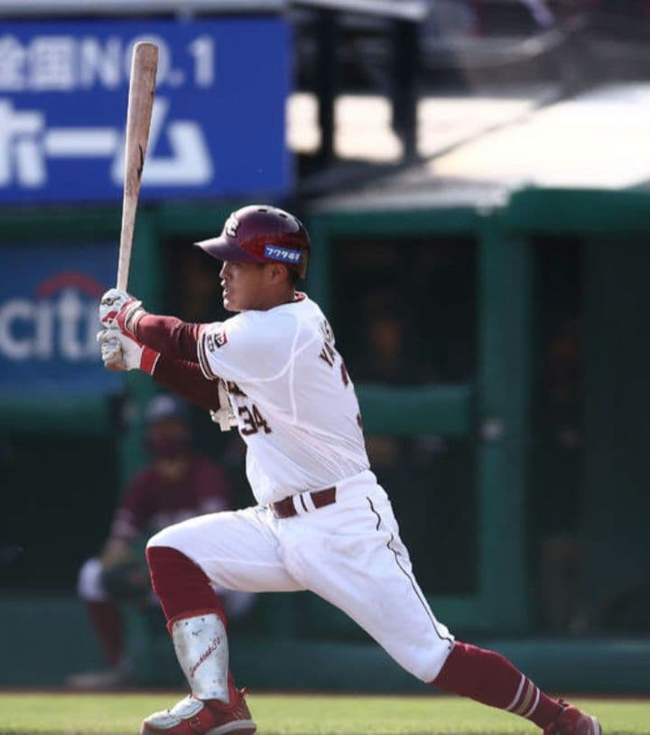 【プレミア】山崎剛 mizuno ミズノ 硬式木製バット 86cm 910g