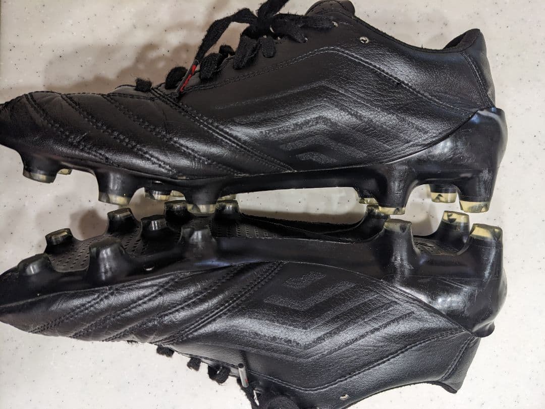 【25.0】asics DSライトx-fly4 JAPANブラック