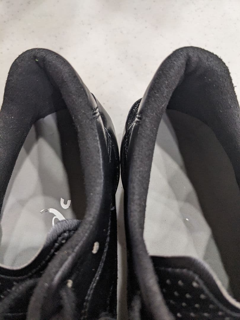 【25.0】asics DSライトx-fly4 JAPANブラック