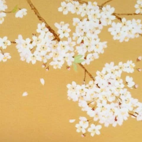 桜の版画 A3 ゴールドフレーム付き アーカイバルプリント 野地美樹子 和モダン