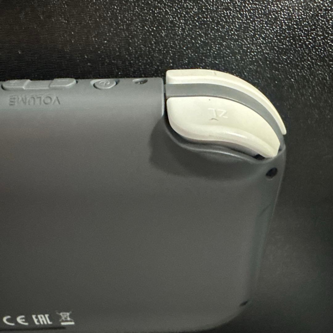 Nintendo Switch ライト　グレー　充電器付き