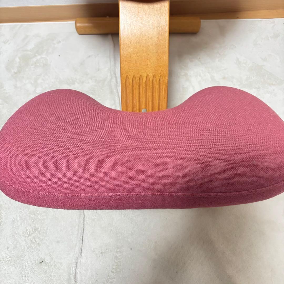 美品 Rybo リボ社 バランス イージー バランスチェア　通常フレーム