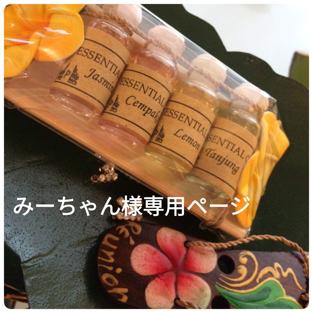 みーちゃんページ