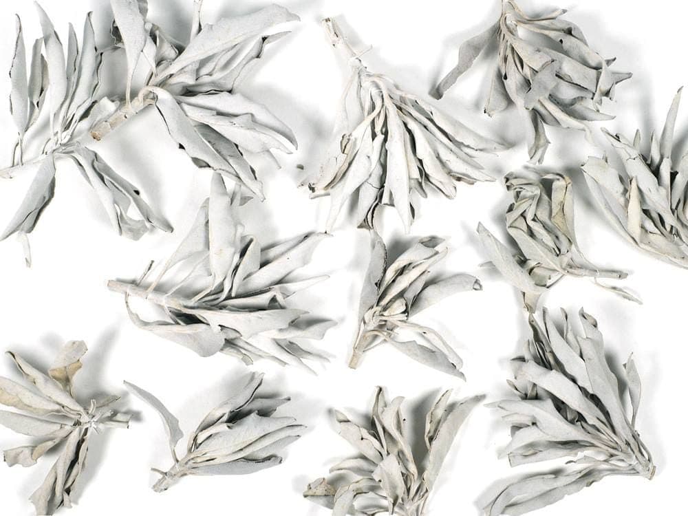 ★特選再入荷★無農薬カリフォルニア産【箱配送1kg高品質ホワイトセージ】❤️