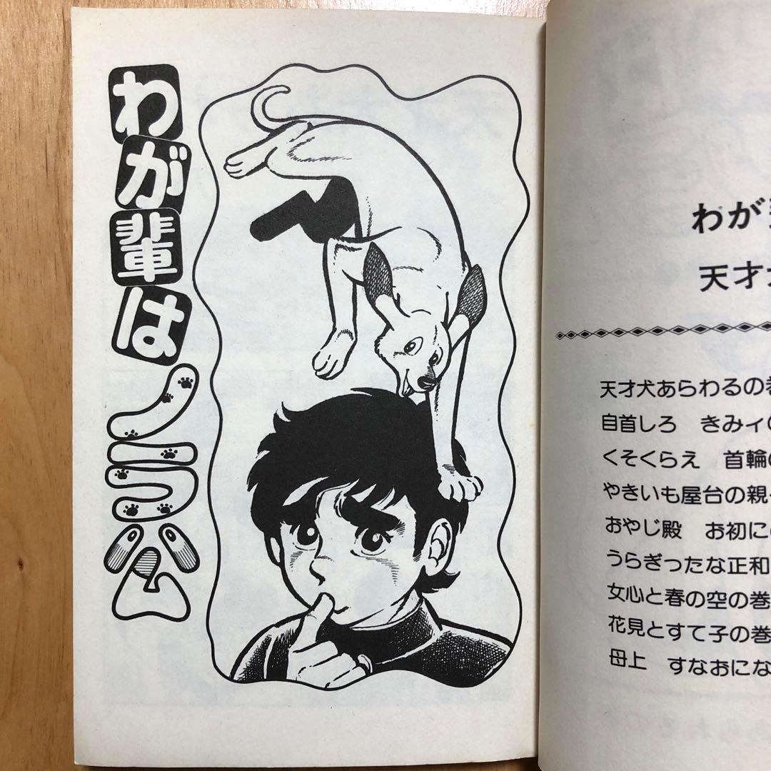 ☆レア☆わが輩はノラ公　菊池規子　1〜11全巻セット　集英社