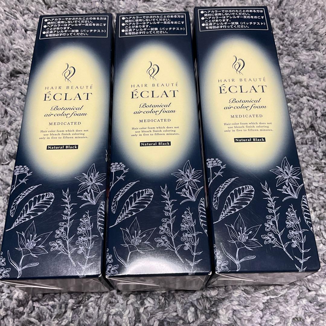 ヘアボーテ エクラ ボタニカルエアカラーフォーム EX 150g3本セット