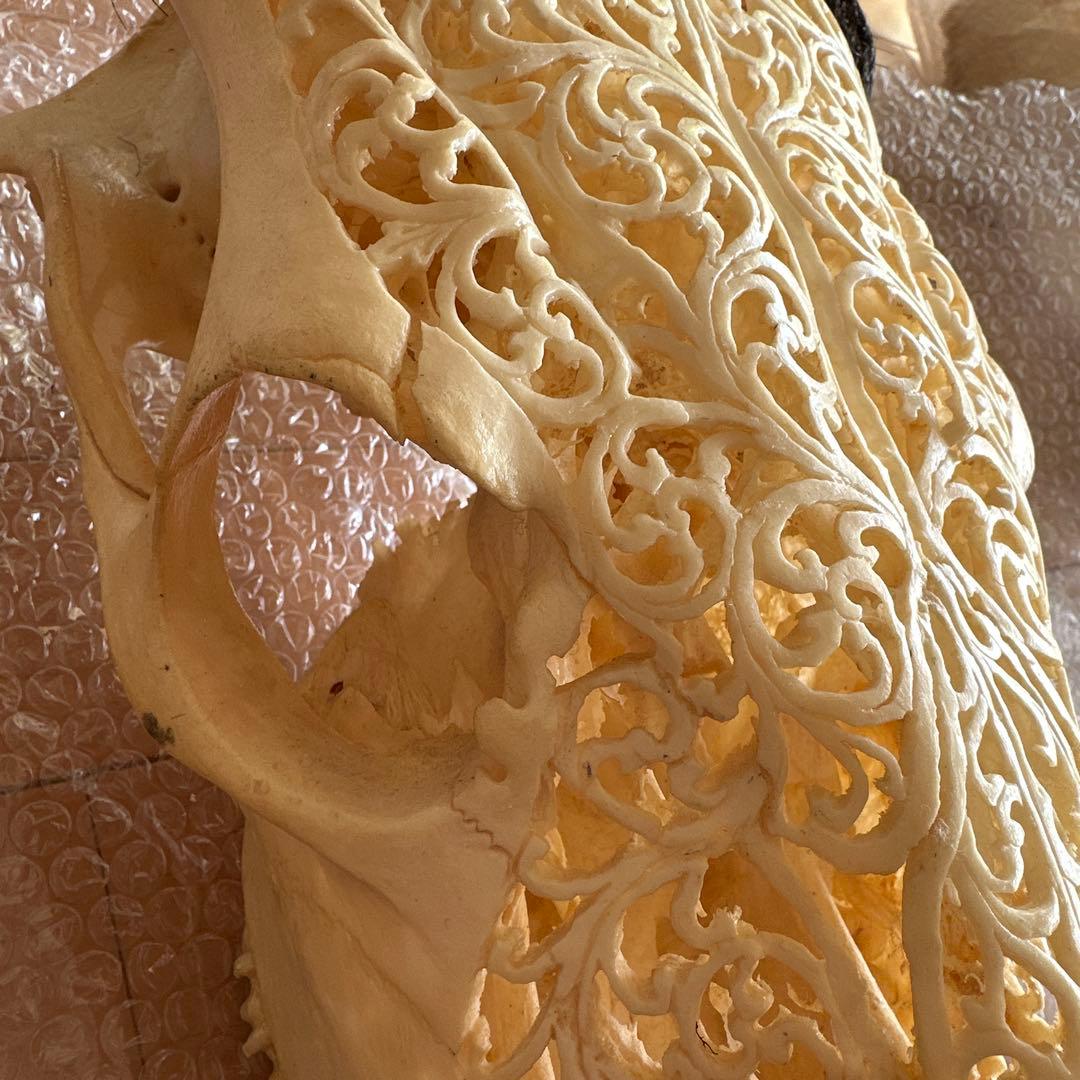 値下げしました！バッファロースカル　牛頭蓋骨　壁掛け彫像　カウボーイ　アメカジ