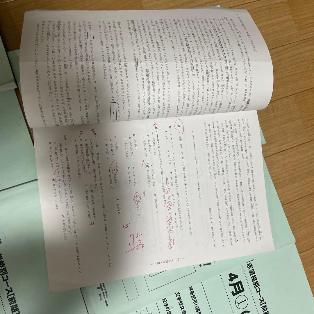 2024年度受験用の早稲田アカデミー NN早実前期 テキスト　おまけ付き