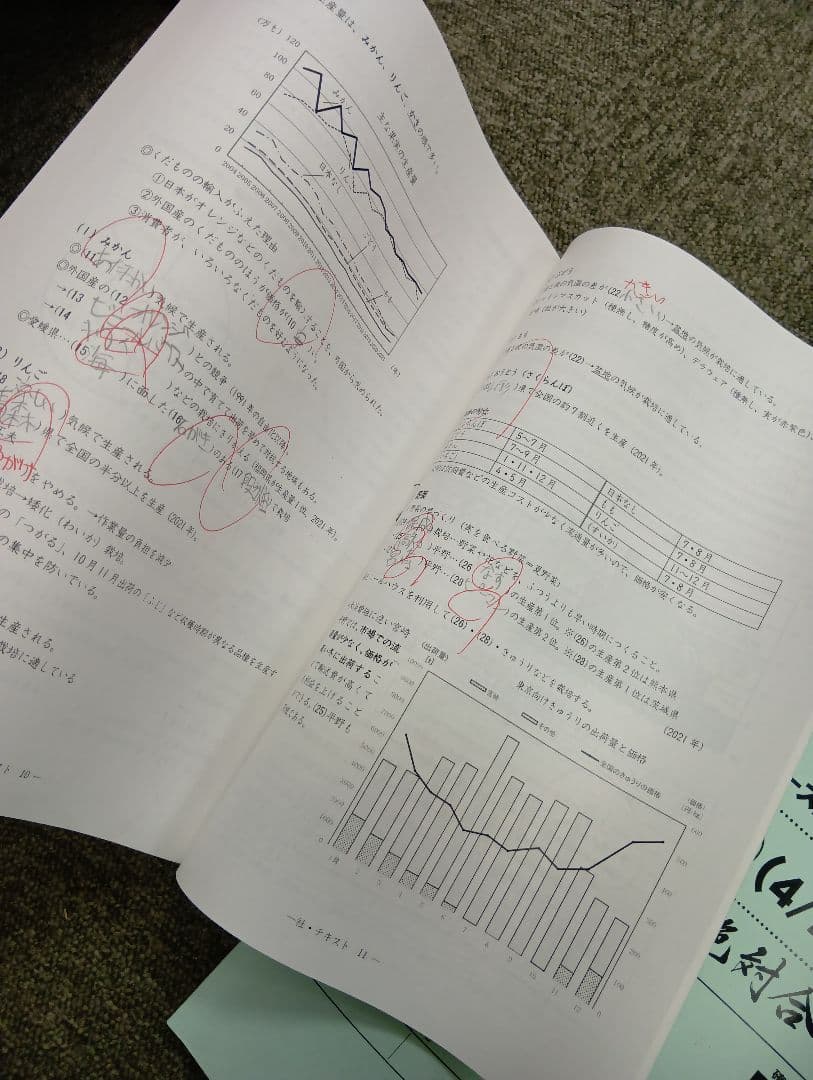 早稲田アカデミーNN早実　前期後期/日特/土特/夏期/正月/直前/副教材2024