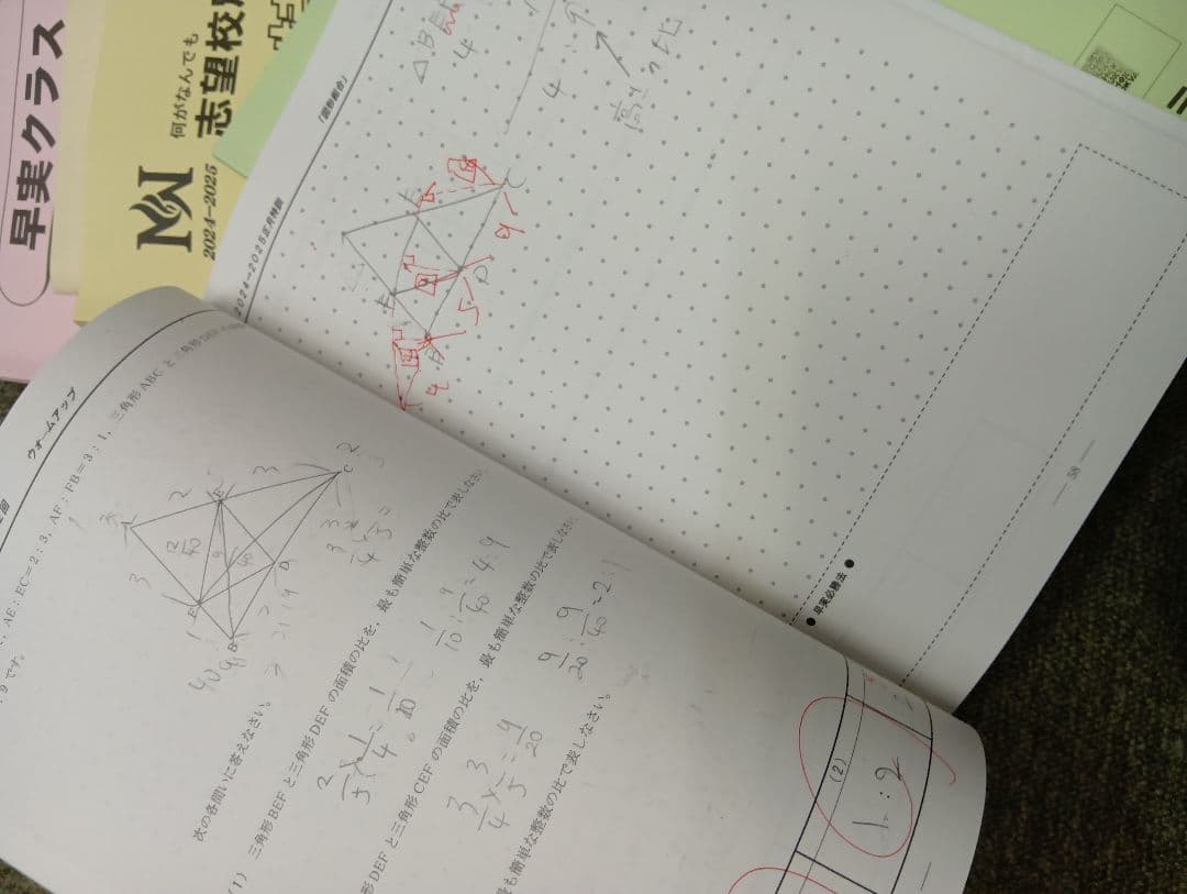 早稲田アカデミーNN早実　前期後期/日特/土特/夏期/正月/直前/副教材2024