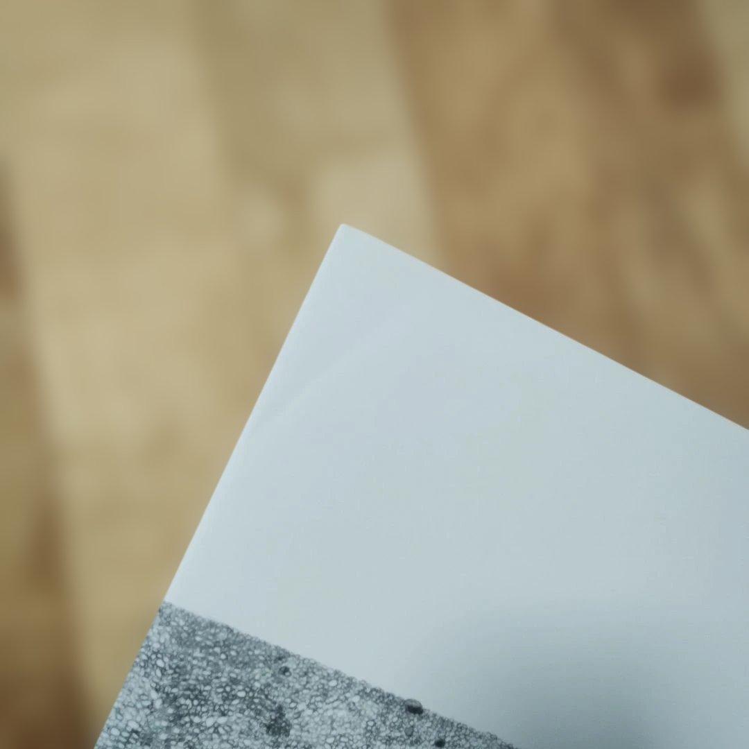 レオレオニの絵本セット　全２２巻　まとめ売り