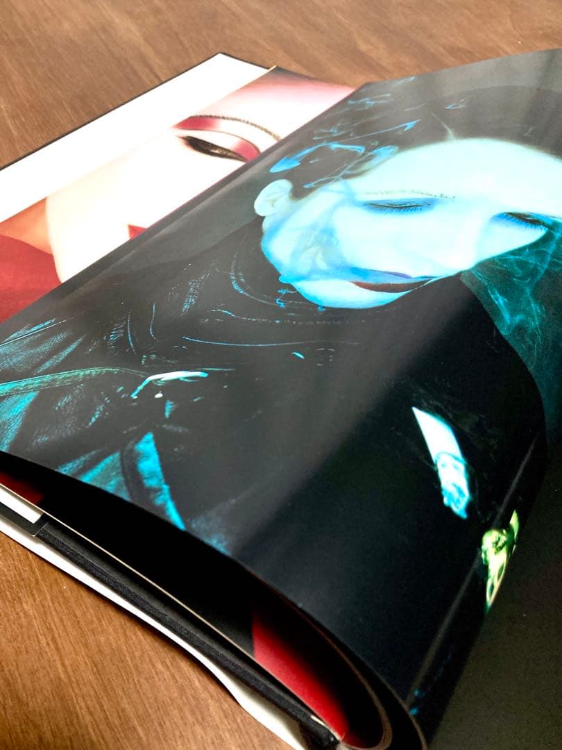 大判洋書 セルジュ・ルタンス SERGE LUTENS 写真集 函付き