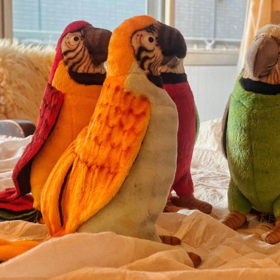 HANSA ハンサ オウム色違い4匹セット ぬいぐるみ