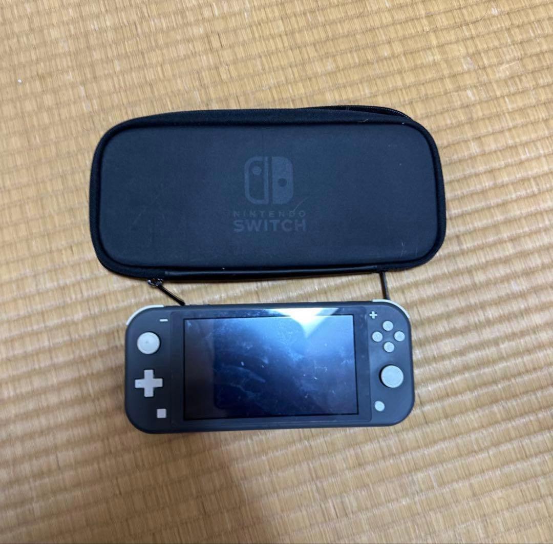 Nintendo SwitchLiteケース付きスイッチライト