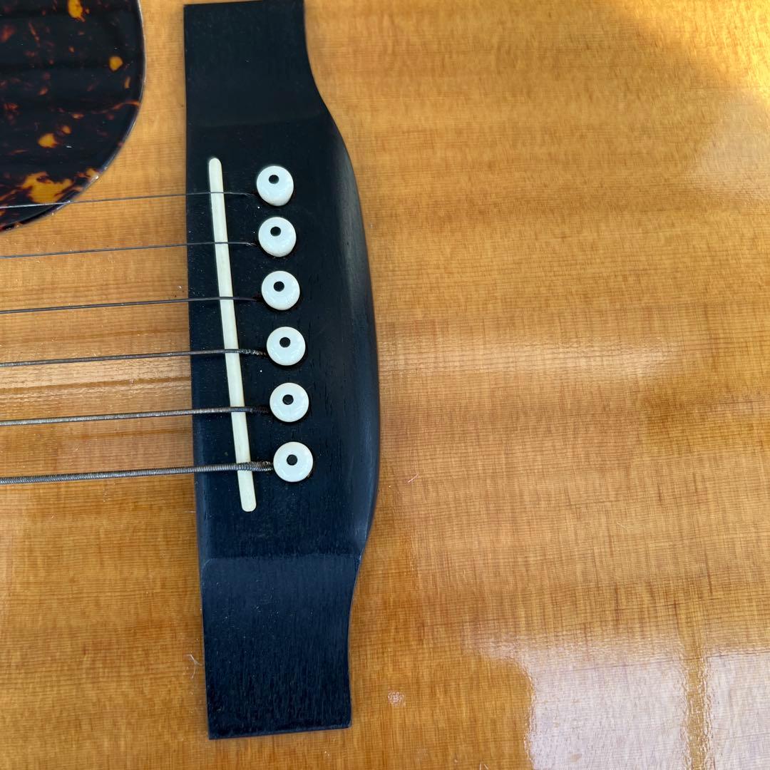 希少TOKAI GAKKI CatsEyes CE-800T 1212680