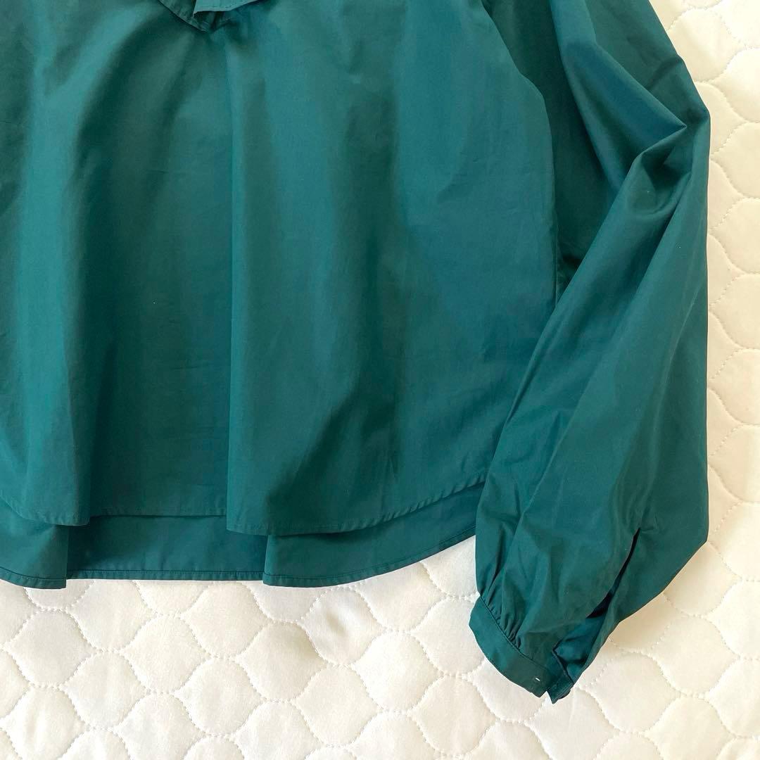 【極美品】定価7.3万✴︎ブリエンヌパリディス コットンフリルカラーブラウス