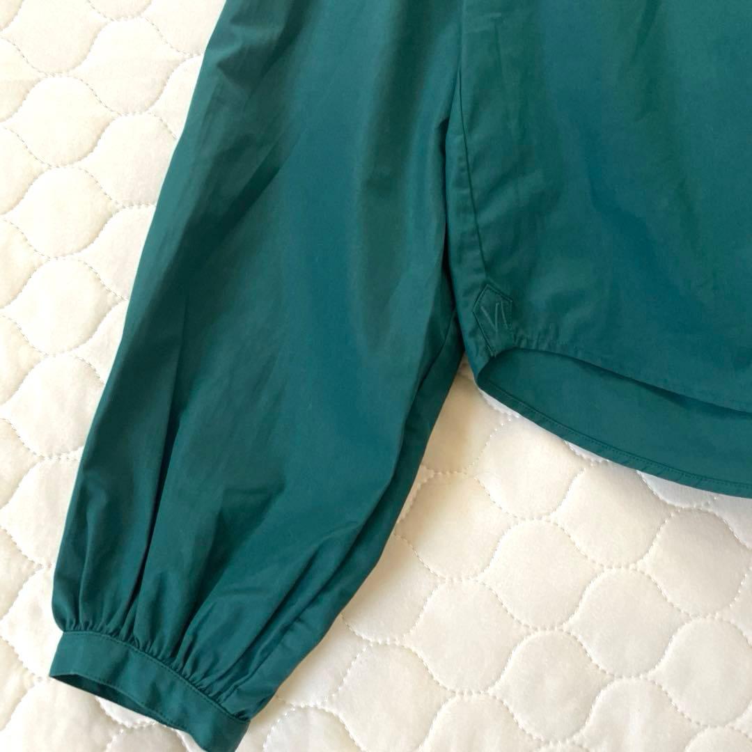 【極美品】定価7.3万✴︎ブリエンヌパリディス コットンフリルカラーブラウス