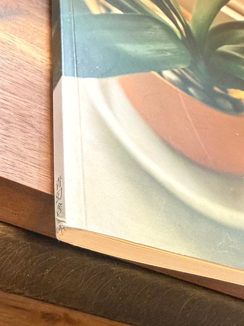 生きている 佐内正史 写真集 初版