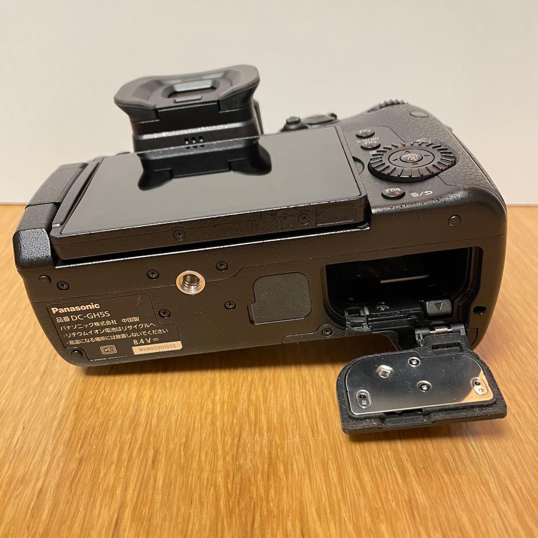 専用　　LUMIX DC-GH5S