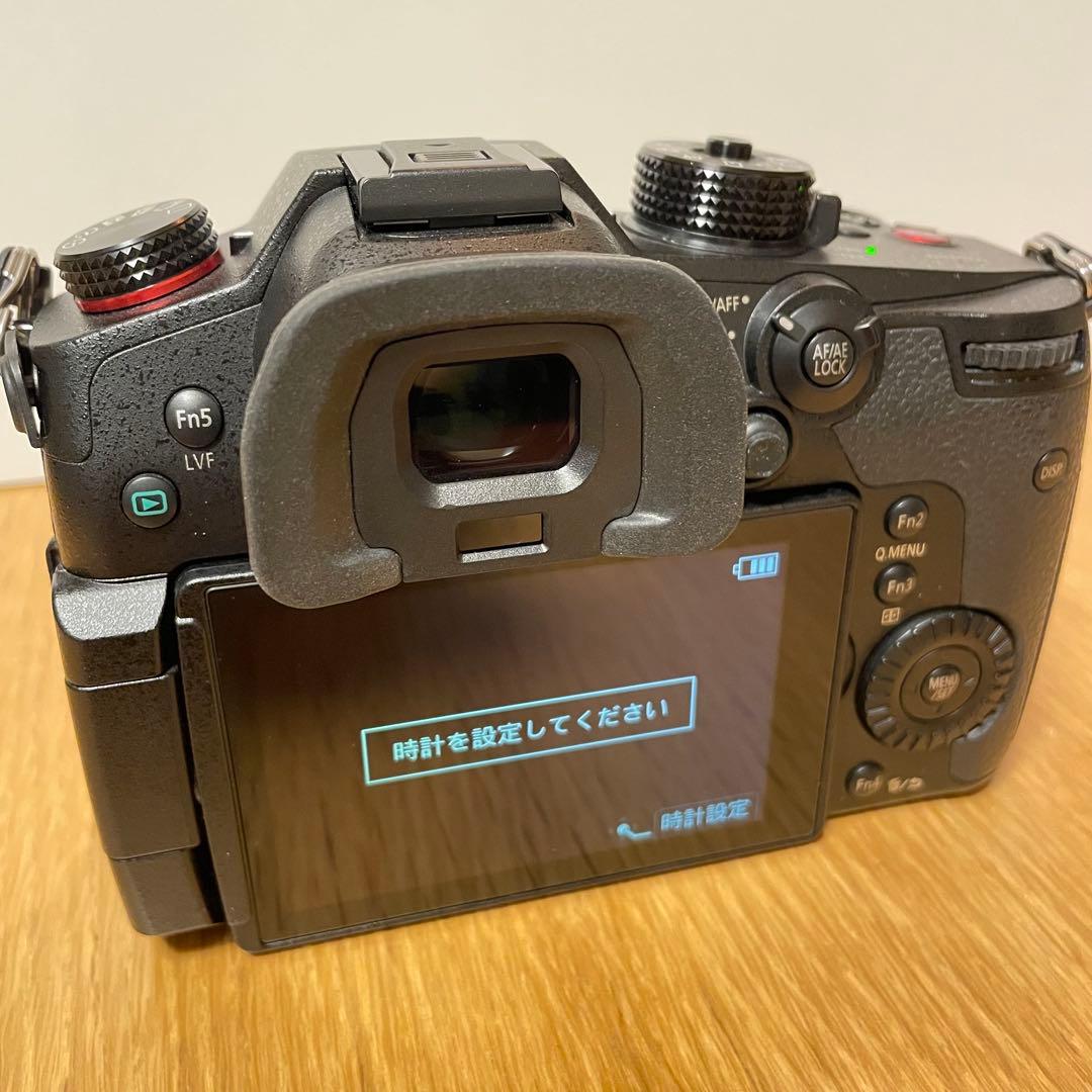 専用　　LUMIX DC-GH5S