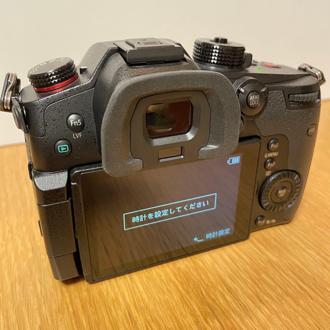 専用　　LUMIX DC-GH5S