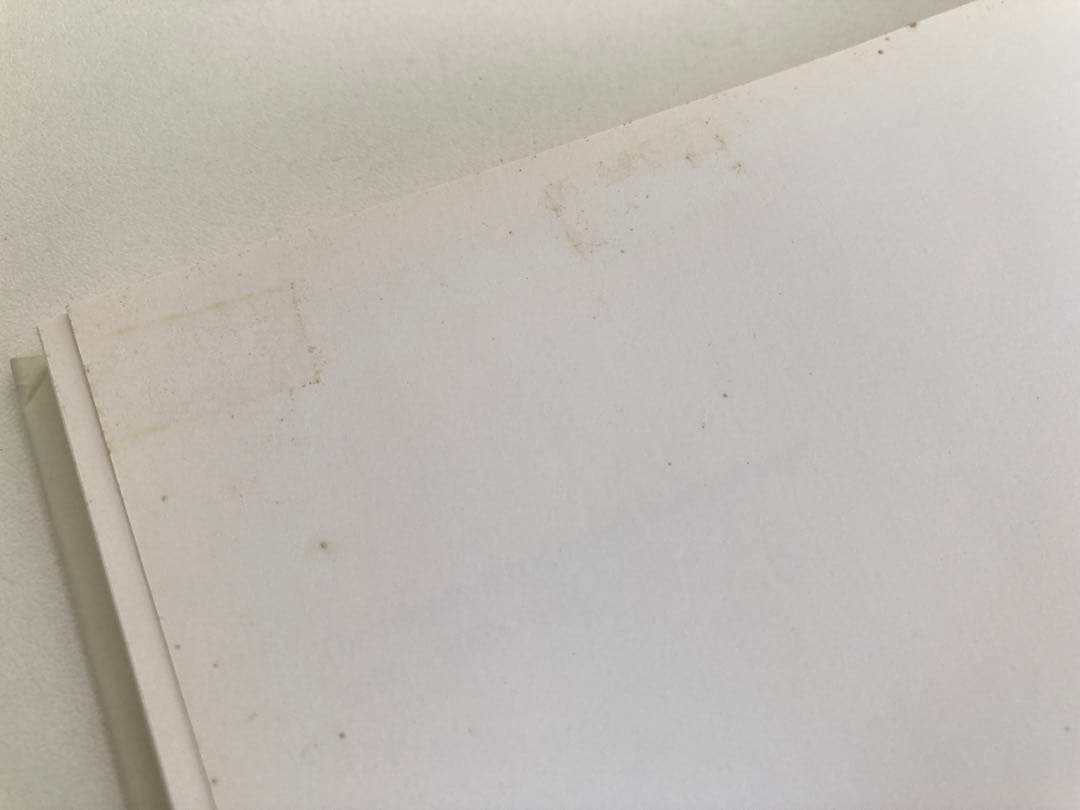 アート・デザイン・音楽 Loyal Magazine