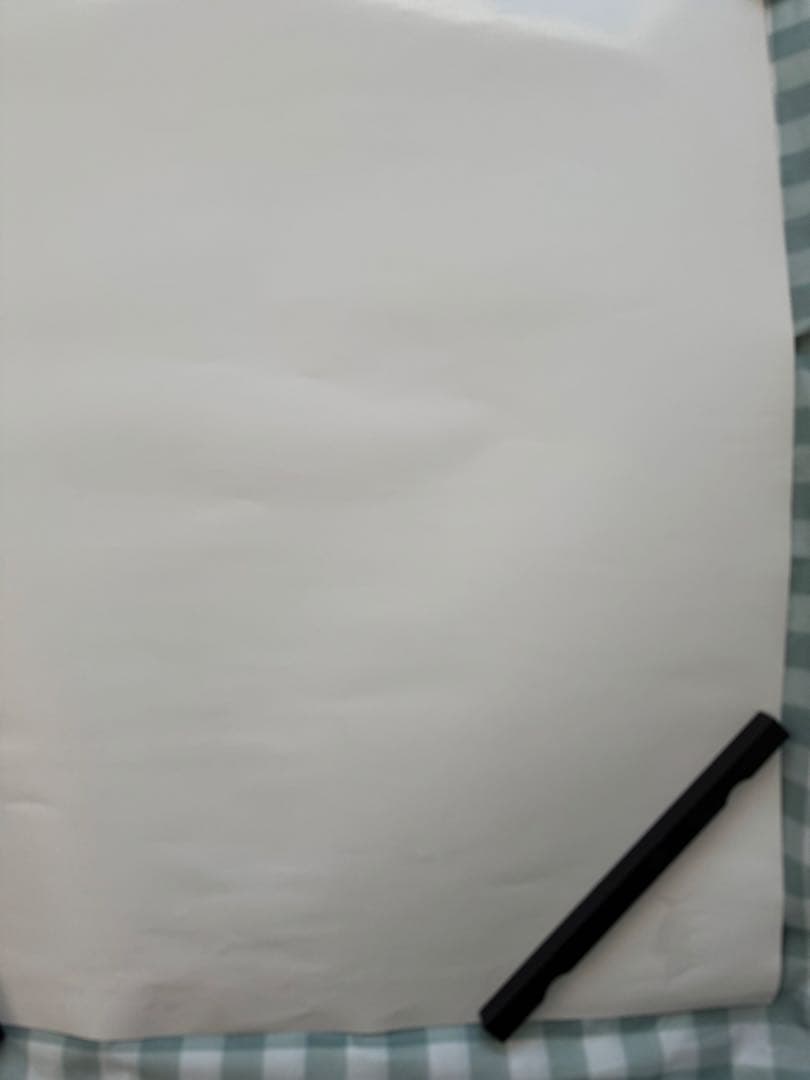 The Biscats 2023年ツアー　非売品 B2 ポスター