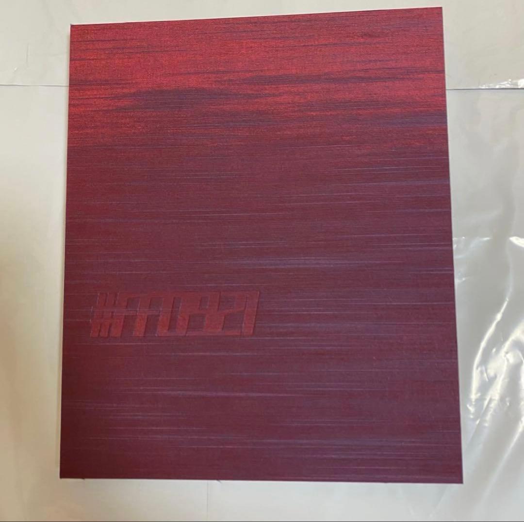 菅田将暉　小松菜奈　写真集　FF0921