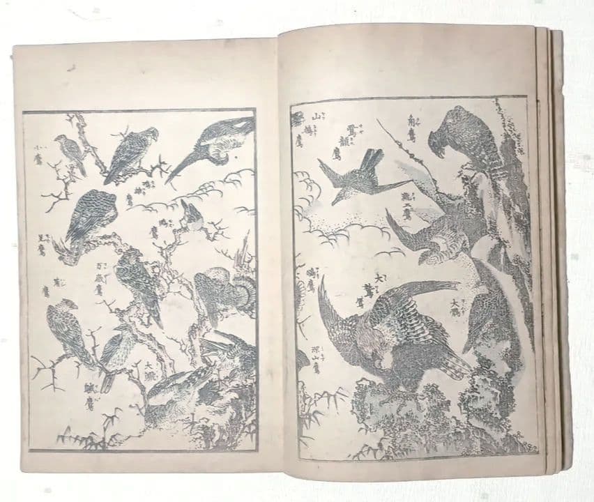 北斎画宛二編（色摺版画本)葛飾北斎画明治初期、後摺再板になります（初版は天保3年