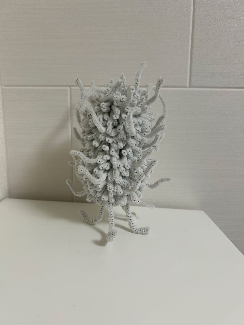 フジサキタクマ　MOGOLS takuma fujisaki　モーリー(蓄光)