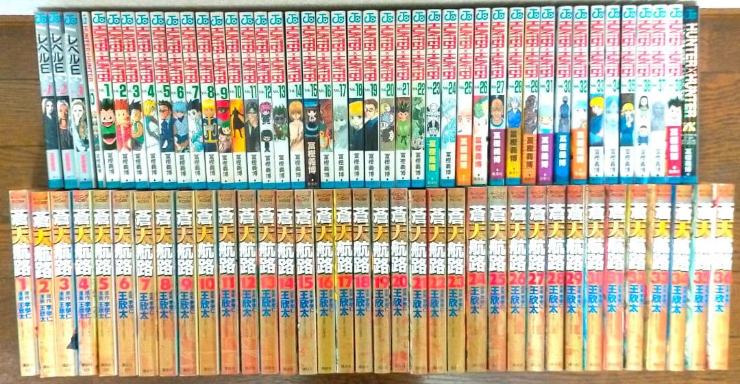 レベルE HUNTER × HUNTER 蒼天航路 全巻