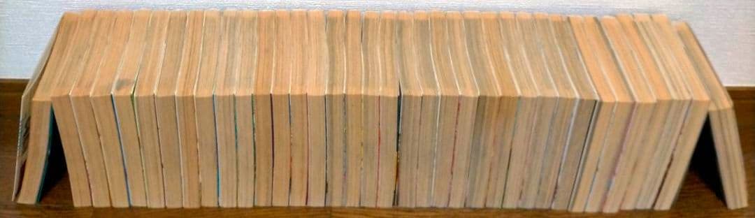 レベルE HUNTER × HUNTER 蒼天航路 全巻