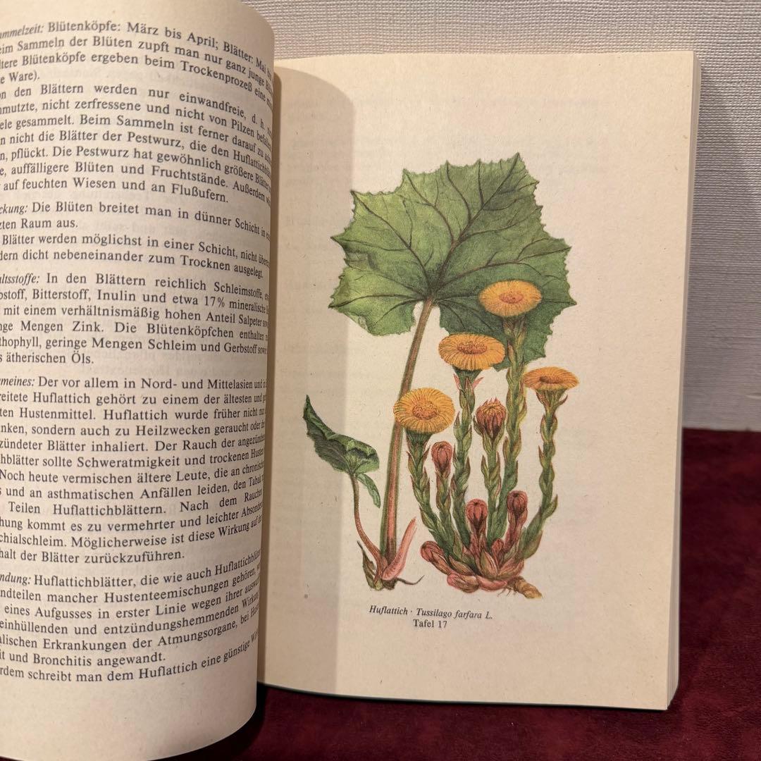 ❤️ Claire 様5冊おまとめ専用 112⑦1990年ドイツ植物図鑑