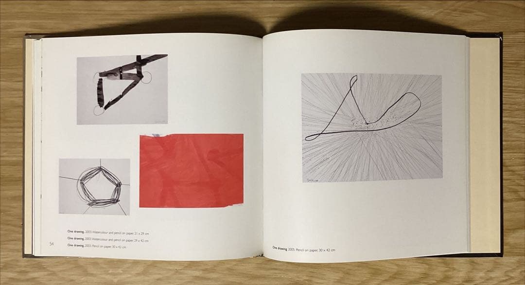 「blossom」　STEPHAN SPICHER