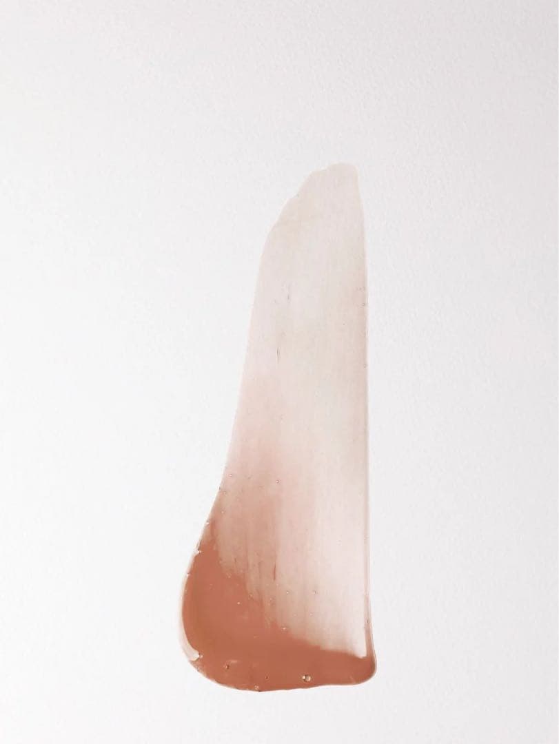 ドリスヴァンノッテン