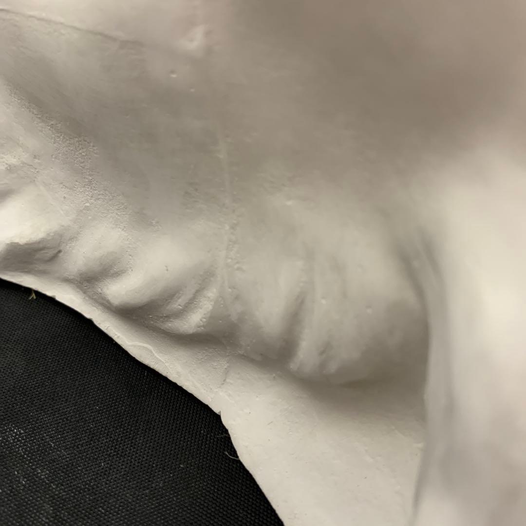 石膏像　チグリス大顔面　デッサン　YOKOHAMA モーゼ