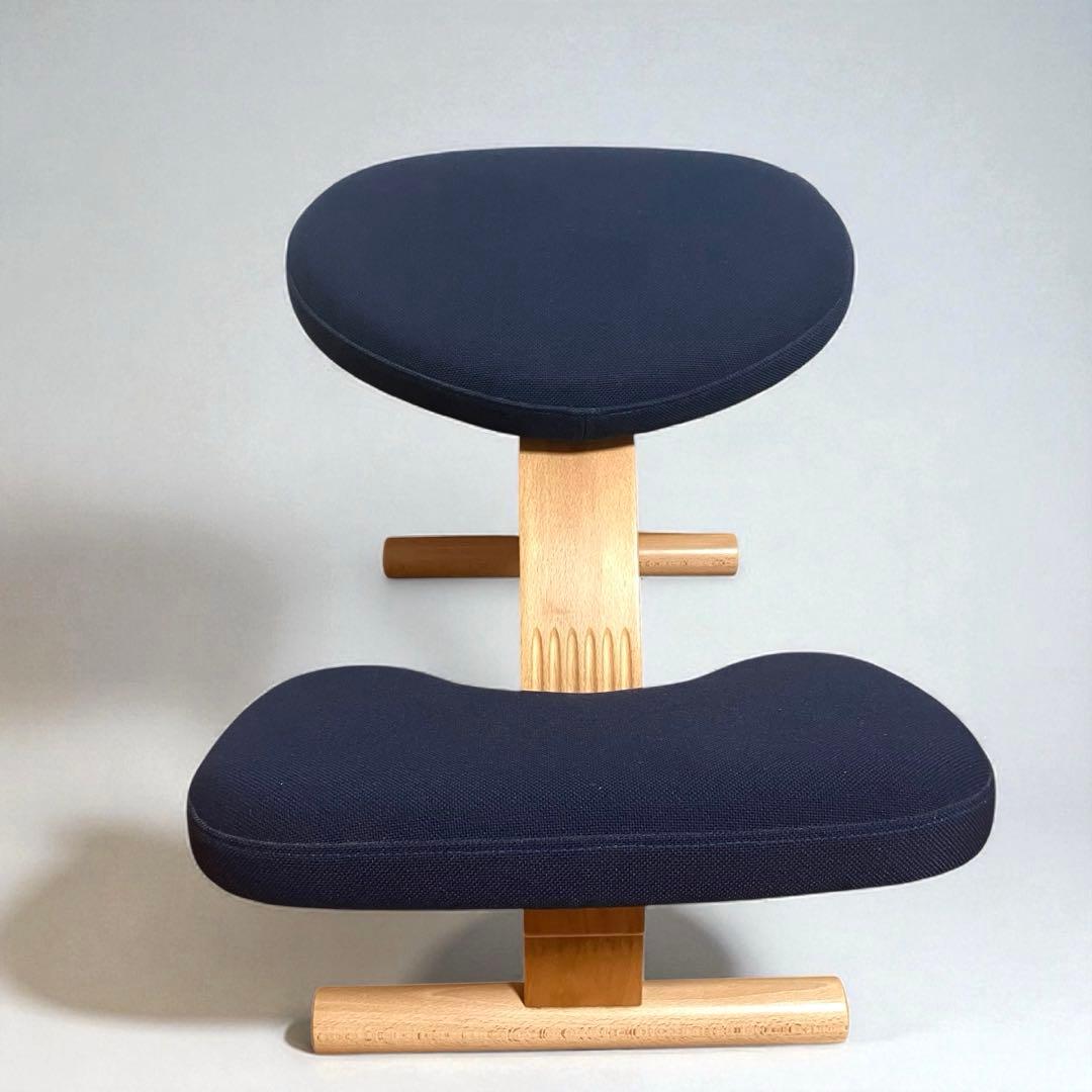 【美品】バランスイージー サカモトハウス ネイビー 姿勢矯正チェア