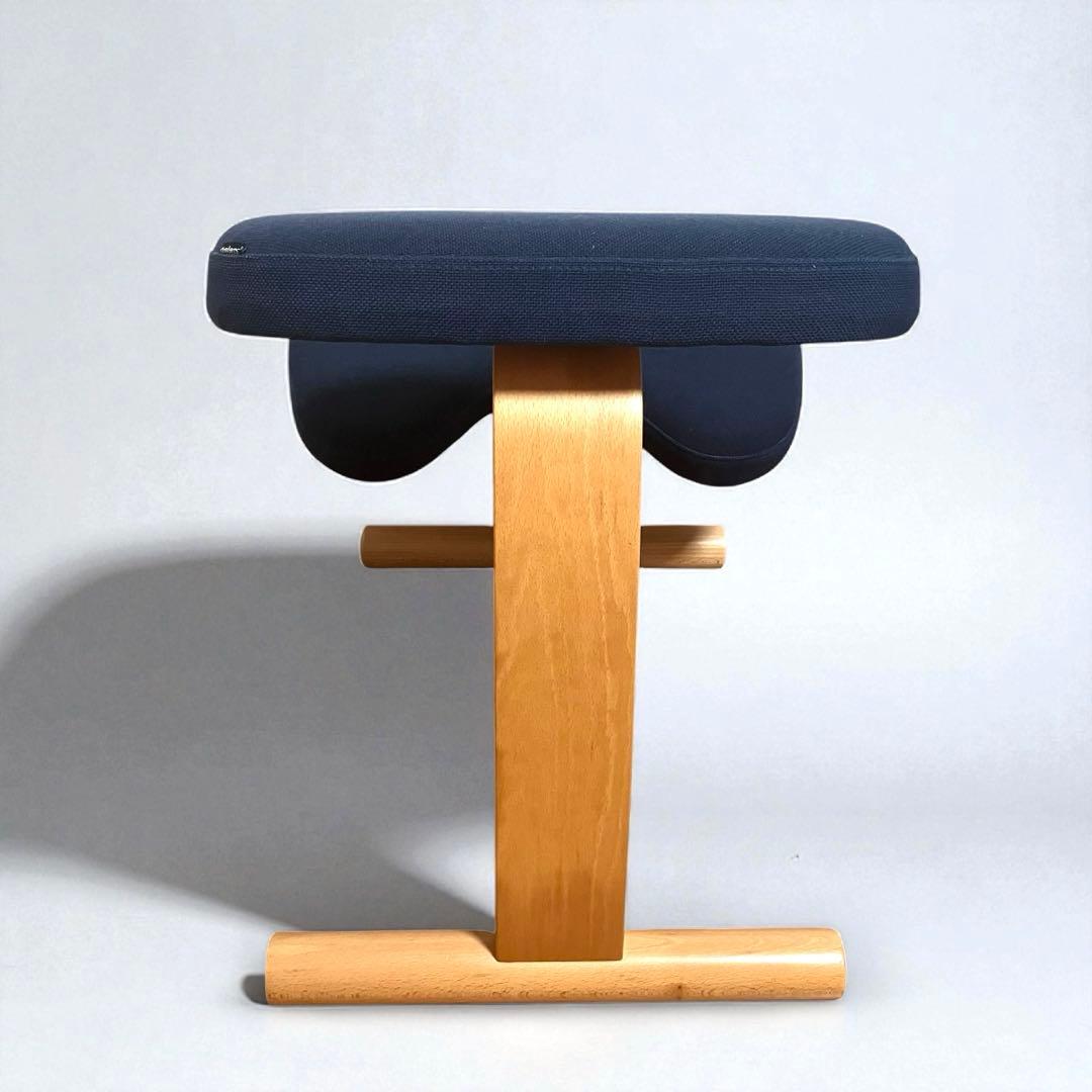 【美品】バランスイージー サカモトハウス ネイビー 姿勢矯正チェア