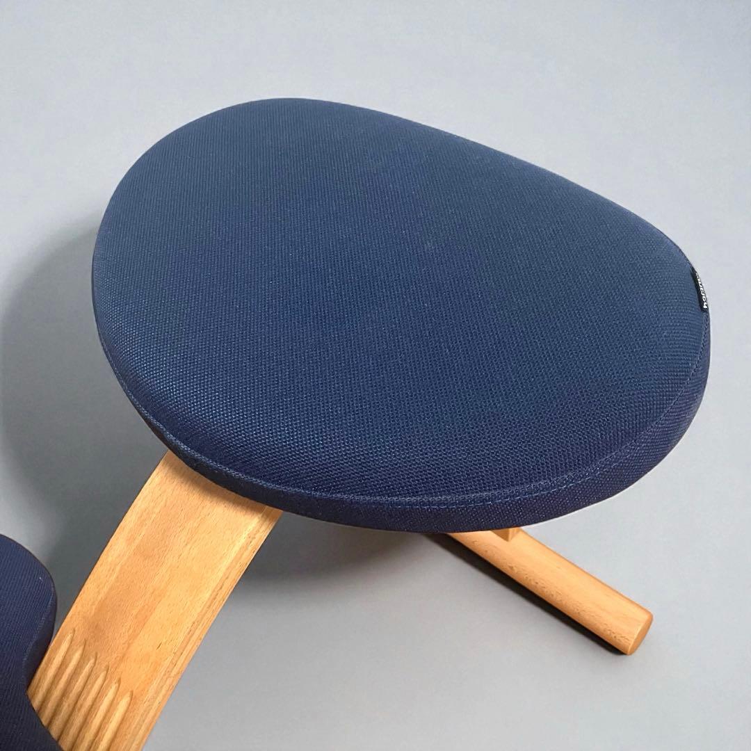 【美品】バランスイージー サカモトハウス ネイビー 姿勢矯正チェア