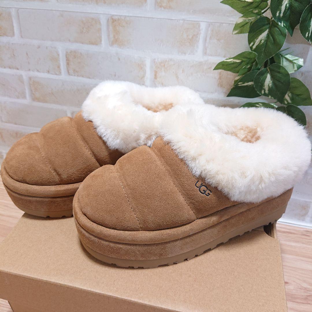 UGG アグ　Tazzlita　タズリータ チェスナット 22cm 厚底 新品