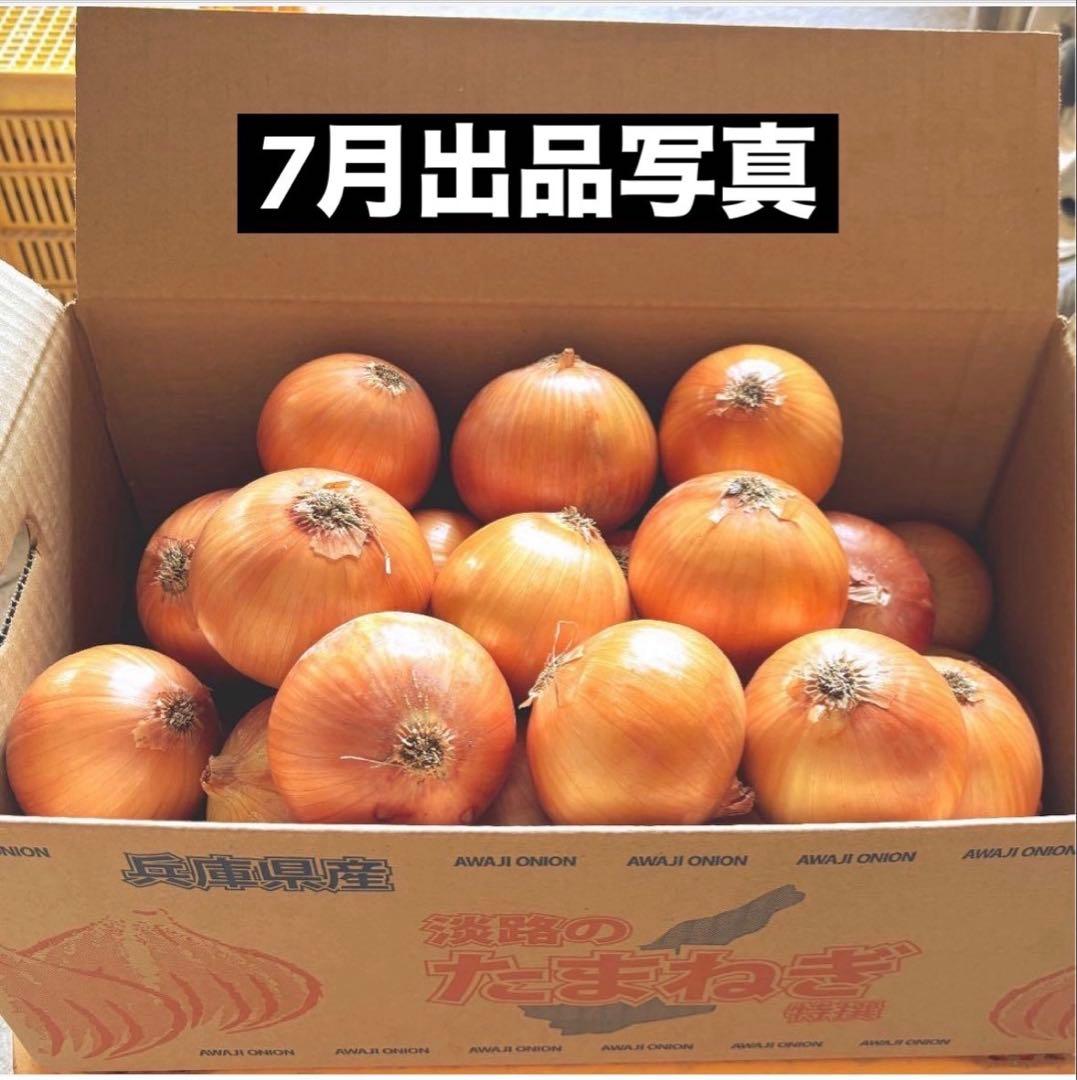 ＜もう直ぐ終了＞淡路島 玉ねぎ苗 ターザン 1,000本 たまねぎ苗 玉葱苗