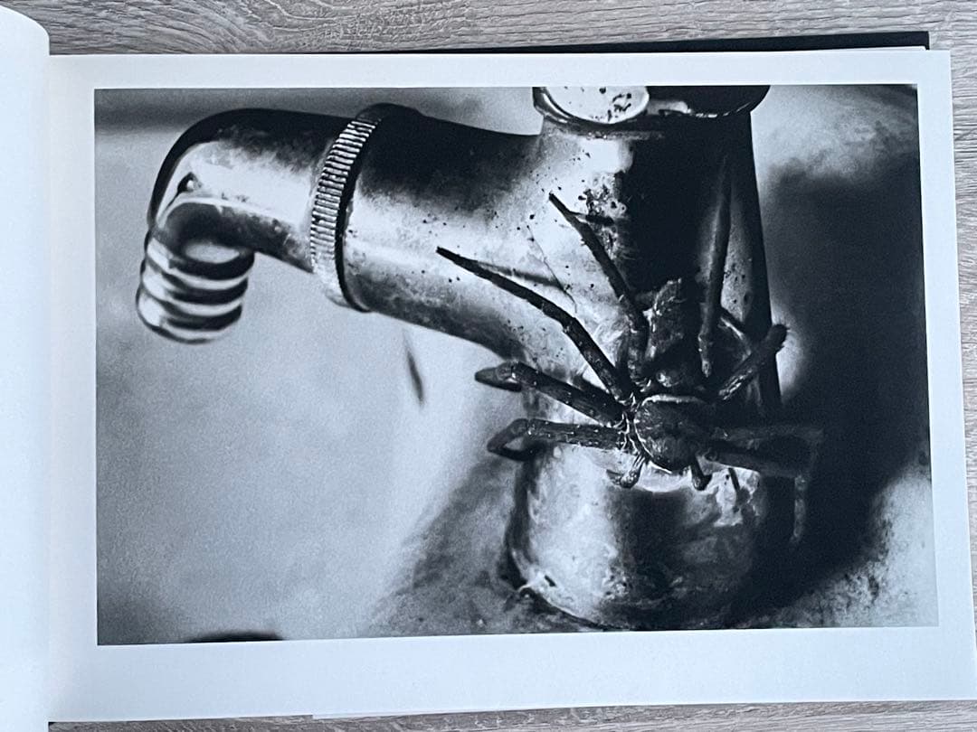 猪瀬光 全作品 写真集 INOSE KOU