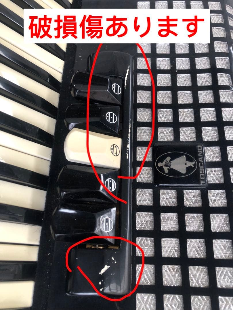 TOSCANO アコーディオン (A164)