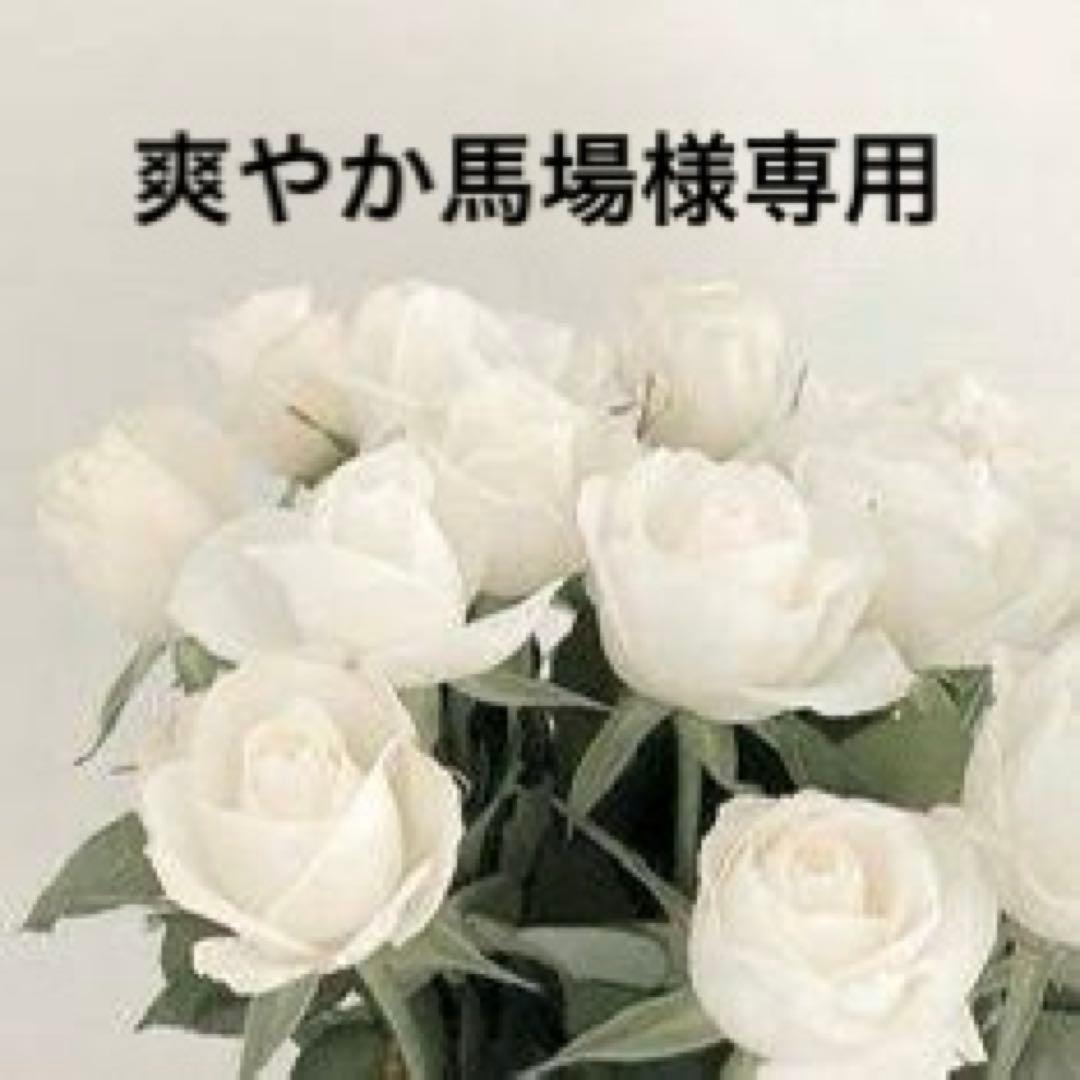 爽やか馬場 出品