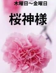 桜神様　木曜日〜金曜日
