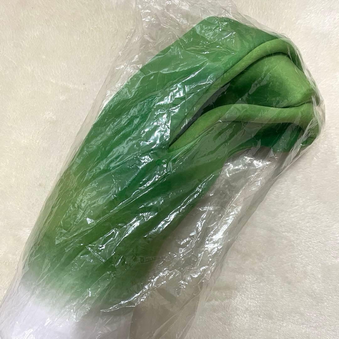 希少　新品未使用　カモネギ三葱隊ものがたり カモネギ（ガラルのすがた）のネギ