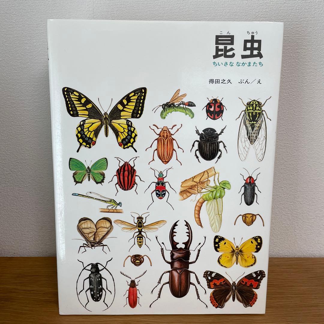 夏の虫 夏の花 645種の身近な生きものの世界