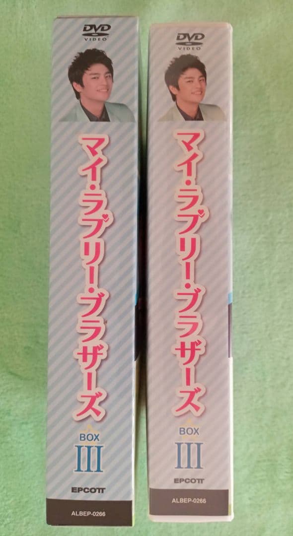 絶版希少 ソ・イングク マイ・ラブリー・ブラザーズ DVD-BOX３（9枚組）