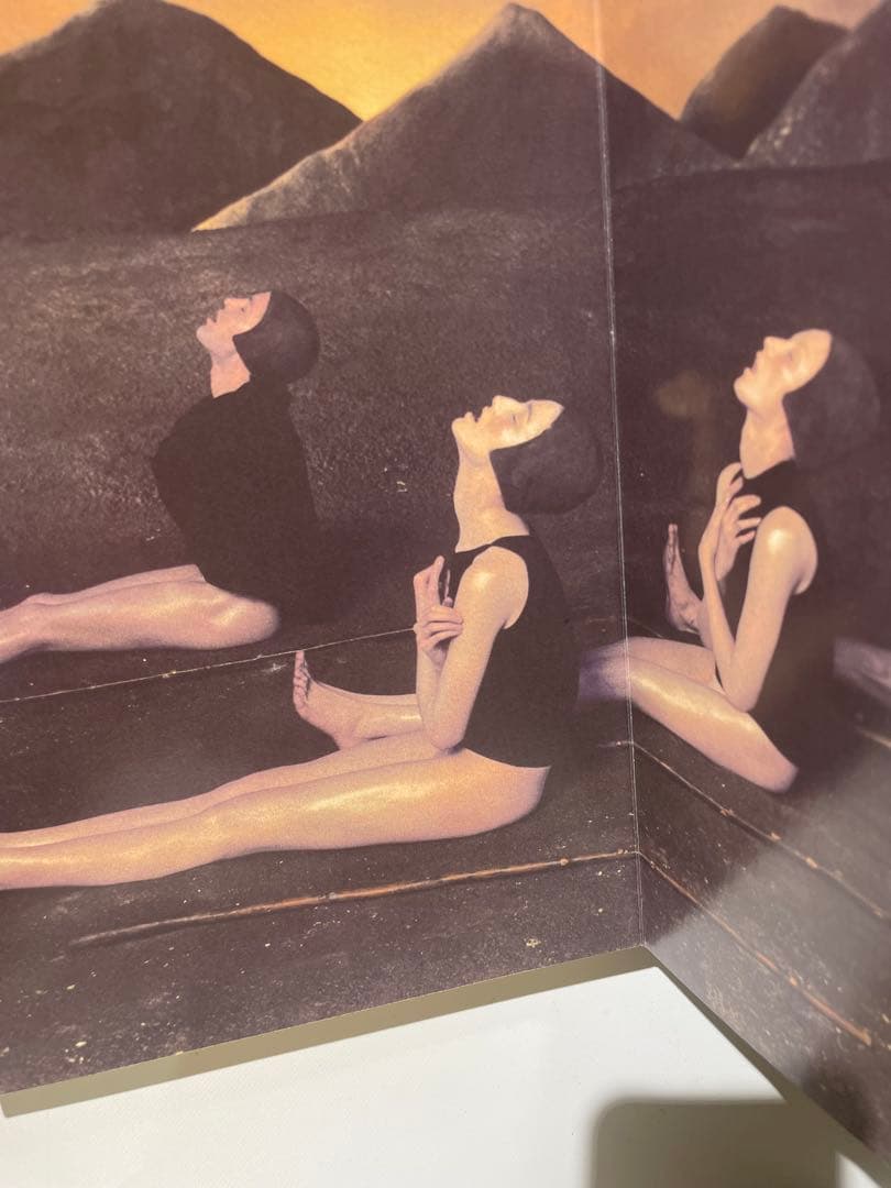 VISIONAIRE 28 本　ヴィジョネア　フィリップスタルクデザインケース